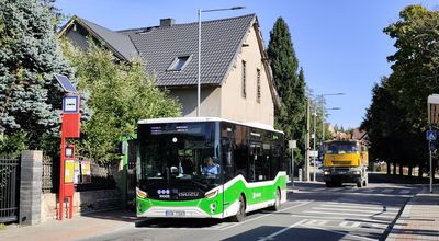 any (z 2025)