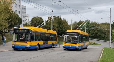 Zln (z 2025)