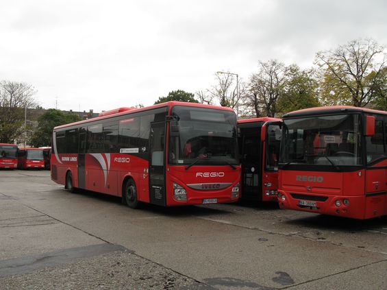 Také majoritní regionální dopravce v Bratislavském kraji Slovak Lines obnovuje svùj pomìrnì nový vozový park zejména autobusy Iveco.