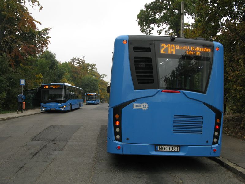 Urychlená obnova pokračuje i v autobusové dopravě, ke slovu se dostávají kromě již zavedených značek Mercedes-Benz, MAN či Volvo také místní maďarská vozidla značky Modulo, a to jak ve standardní verzi (zde na lince 21A na konečné Normana), tak i jako elektrobus.