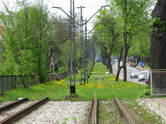 Déletrvající výluka trati do obratištì Druska umožnila zdejší flóøe ponìkud vybujet. Pøíèinou výluky byla rekonstrukce tratí v centrální èásti mìsta.