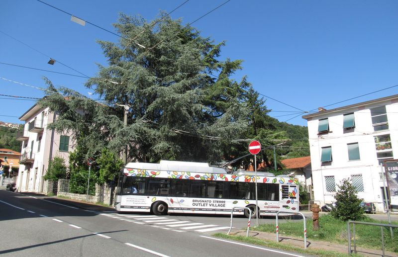 Severní koneèná zastávka Chiappa na páteøní trolejbusové lince 3. Ta jezdí každých 10 minut a spojuje centrum s hlavním vlakovým nádražím a kopcovitými pøedmìstími na severu a východì mìsta.