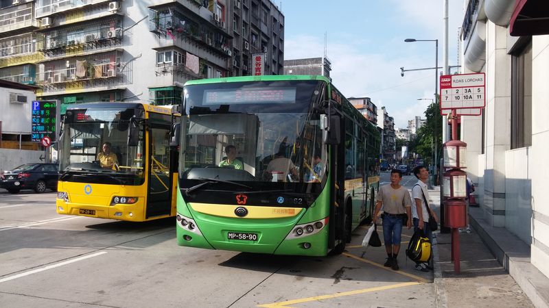 Třetím dopravcem MHD je společnost  Nova Era de Autocarros Públicos s těmito zelenými autobusy. Zastávky i jízdní řády jsou společné pro všechny tři dopravce. Dalším společným prvkem je zastavování u nástupních hran zastávek, které vytváří dostatečný prostor pro chodce na vozovce, když je šířka chodníku příliš malá. Zelený dopravce provozuje celkem 35 linek.