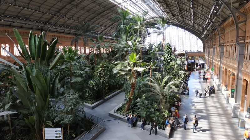 Historická èást pùvodnì hlavového nádraží Atocha je dnes místem odpoèinku a její vstupní hala pøipomíná spíše botanickou zahradu.
