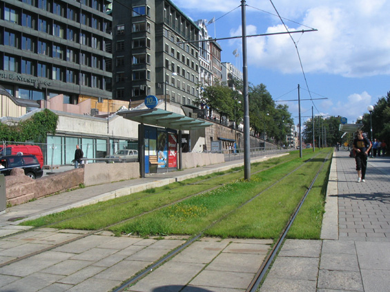 Zelený úsek tramvajové linky poblíž monumentální radnice u pøístavu.
