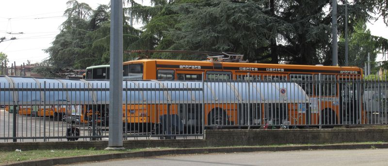 Letní trolejbusová odstávka bohužel skryla všechny místní trolejbusy do vozovny v jižní èásti trolejbusové linky 1 poblíž místních høbitovù. Na høbitov se pomalu ale jistì chystají také tyto trolejbusy Menarini z druhé poloviny 80. let. V roce 2020 by je mìla nahradit dodávka 10 nových 12metrových trolejbusù Solaris Trollino.
