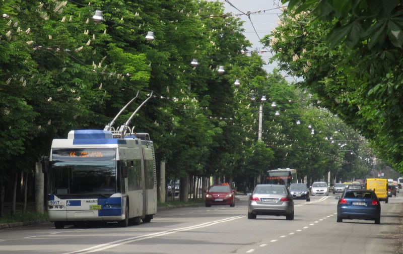 Trolejbusové linky spoleènì s autobusy projíždìjí centrem Ploiesti od severu na jih po tomto bulváru lemovaném hustým stromoøadím. Bulvár konèí u jižního nádraží.