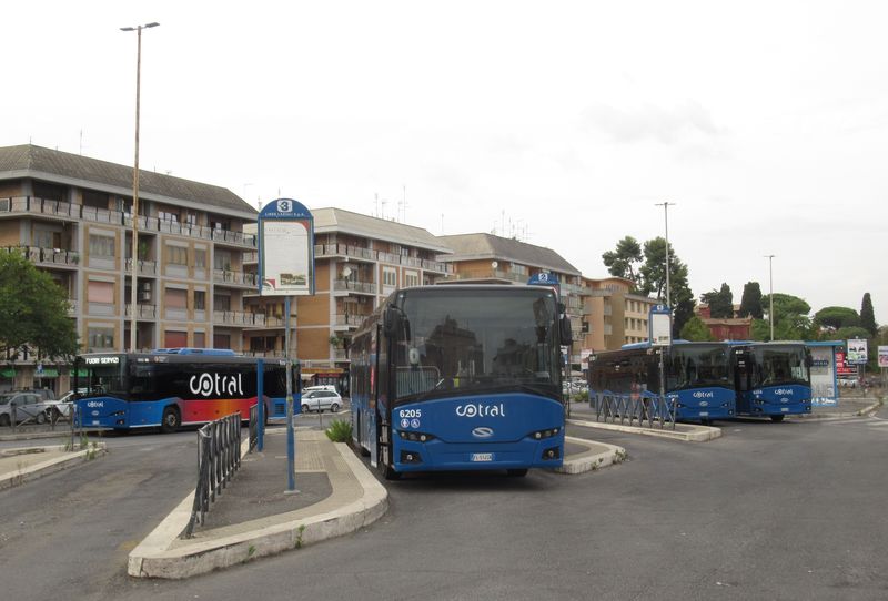 Od roku 2016 jsou pro regionální linky místního majoritního dopravce Cotral dodávány polské autobusy Solaris Interurbino. Vèetnì poslední dodávky v roce 2021 by jich v okolí Øíma mìlo jezdit úctyhodných 560 kusù.