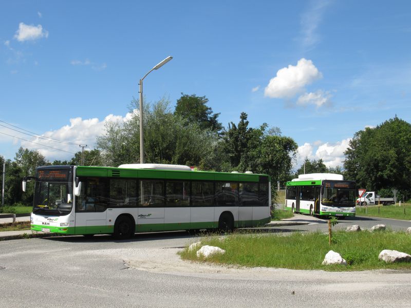V poslední stanici salcburské místní dráhy (Bergheim) na území Salcburku navazuje tangenciální mìstská linka 21 jezdící v 15minutovém intervalu. Takových autobusových linek je v Salcburku je pouze 6. Jezdí zde standardní naftové i plynové autobusy MAN dopravce Albus.