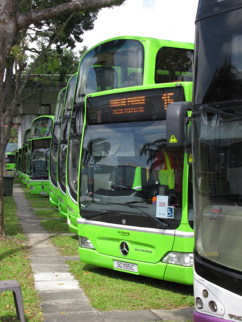 Tendr na autobusové linky o rozsahu cca 500 vozidel v severovýchodní èásti Singapuru vyhrál v roce 2015 dopravce Go-Ahead. Autobusy i garáže však patøí mìstské dopravní autoritì (LTA). Kontrakt trvá 5 let s možností prodloužení na další 2 roky.