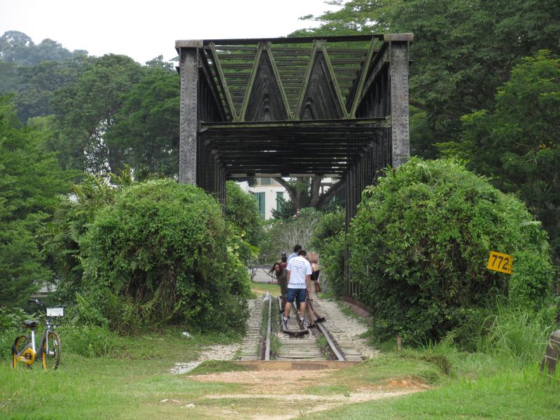 Pozùstatkem po malajské železnici v Singapuru je napøíklad tento ocelový most poblíž stanice metra King Albert Park. Dnes sice malajská železnice na území Singapuru stále zasahuje, ale konèí hned na jeho severním okraji u hranièního pøechodu Woodlands. Motorové vlaky sem zajíždí pouze nìkolikrát dennì z nejbližšího malajského mìsta Johor Bahru, pro cestu vlakem dál do Malajsie je tam nutné pøestoupit. Bohužel na každý vlak je nutné si koupit jízdenku zvláš� a nízká èetnost vlakù s nejistou návazností mezi sebou èiní ze snahy cestovat mezi Singapurem a hlavním mìstem Malajsie Kuala Lumpur vlakem témìø nemožný poèin.